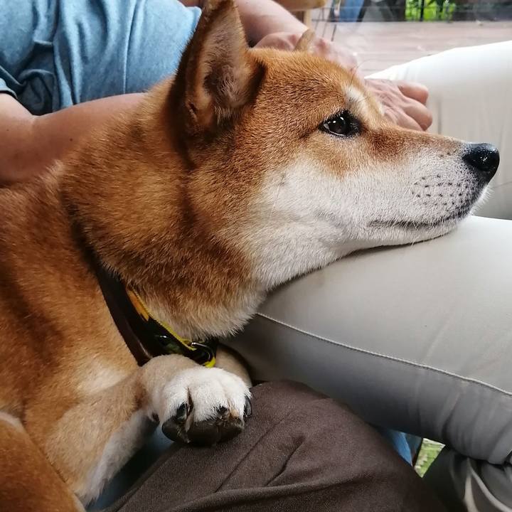 F39022ce 6438 4b55 824d ecac2c90649f 1626172265124