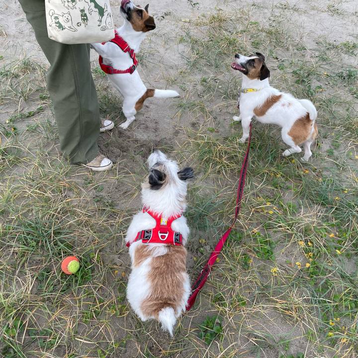 F3903d4a 8ee7 4a98 91a6 2cf44b133ddc 1665796245472