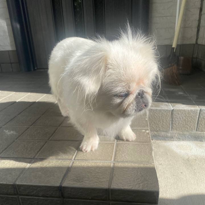 F390af17 4a37 4b98 b297 7985e9da7145 1724627339362