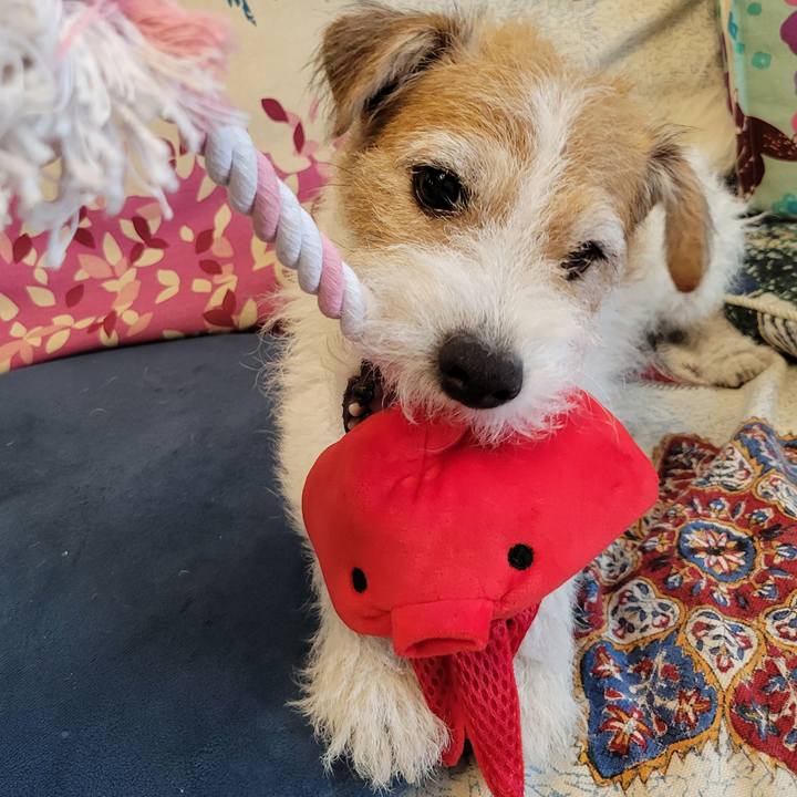 F390b5d7 3400 4fe3 8c98 98464c8ab68b 1754004719417