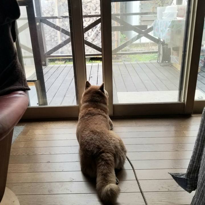 F390ba04 3751 4f2e 97d8 c9c65a172ade 1681275210587