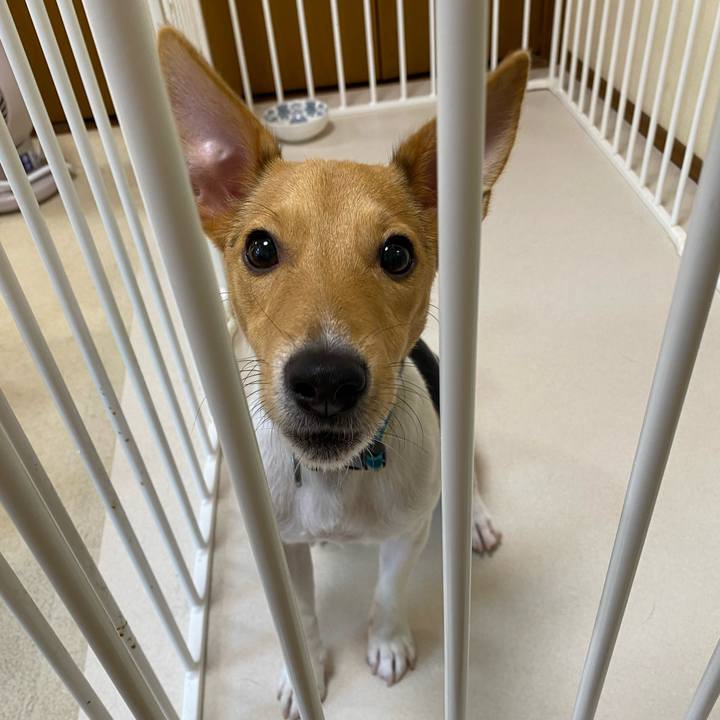 F390babb cbe1 4082 8cad aefc230f06f4 1762727657769