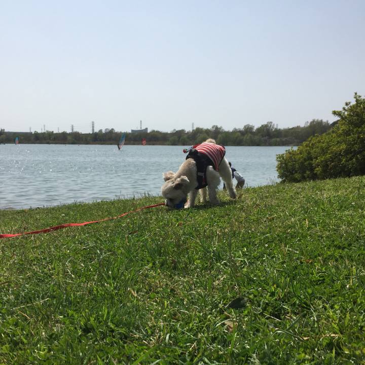 F390def6 78b2 44b1 841c ad7a3fe5910e 1522569996510