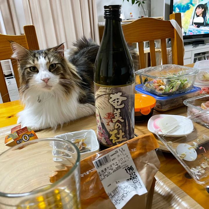 F3913baf 0d2b 49a3 a5c7 aecf75661eaf 1672740076846