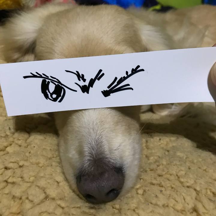 F39148e4 3024 4e2d bdbe b35dfe1d0f52 1520517597878