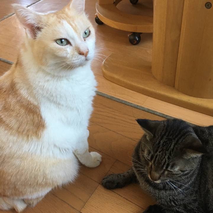 F3917142 42e0 460c bfe8 483d8725f4e5 1513207894851