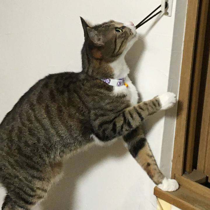 F391add1 7d58 43ef a5db 9d26a77e703e 1710153998841