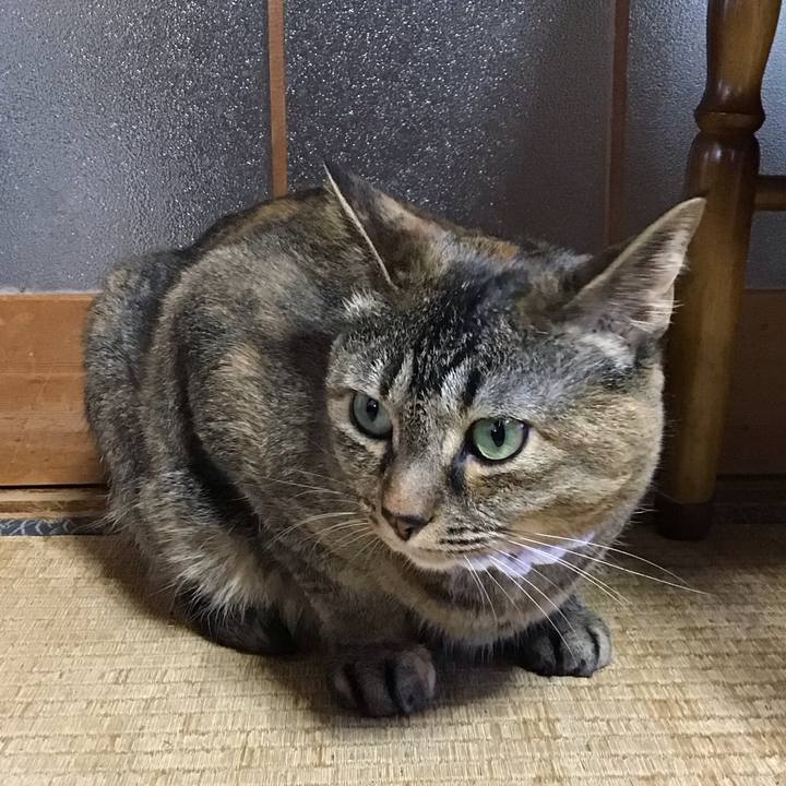 F391cb82 2d82 46e7 a20b 0c59351e33ce 1749029187381