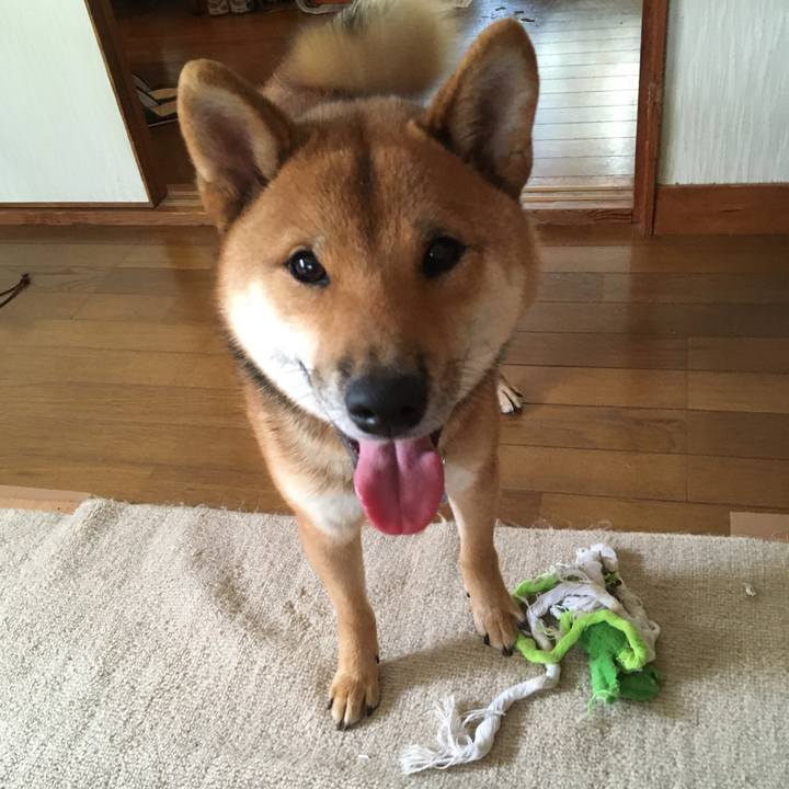 F391ec8b d753 4506 9f62 24fd1fb17c22 1529318411019