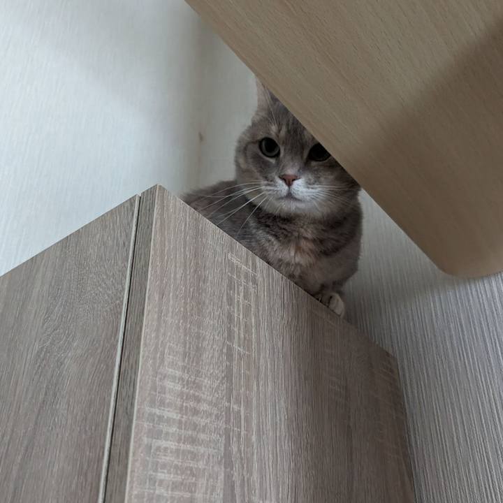 F391f16f db78 4c6e aee5 5a95096d813b 1718599291573