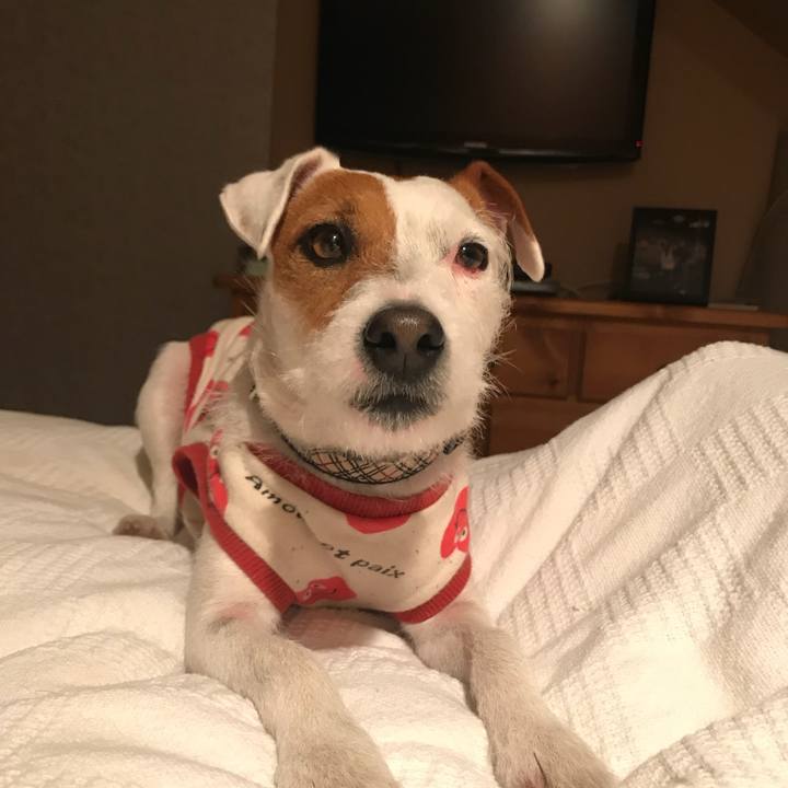 F3921573 51c4 473d 84c0 3cd6d70aa911 1522153825076