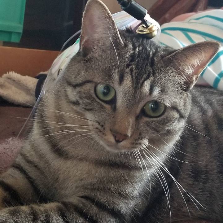 F3921b75 3891 4e35 bc5d 77a021679bf3 1692412422580