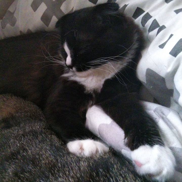 F39243dd bfa8 410b 8e4f 541d8f81487b 1644031434504