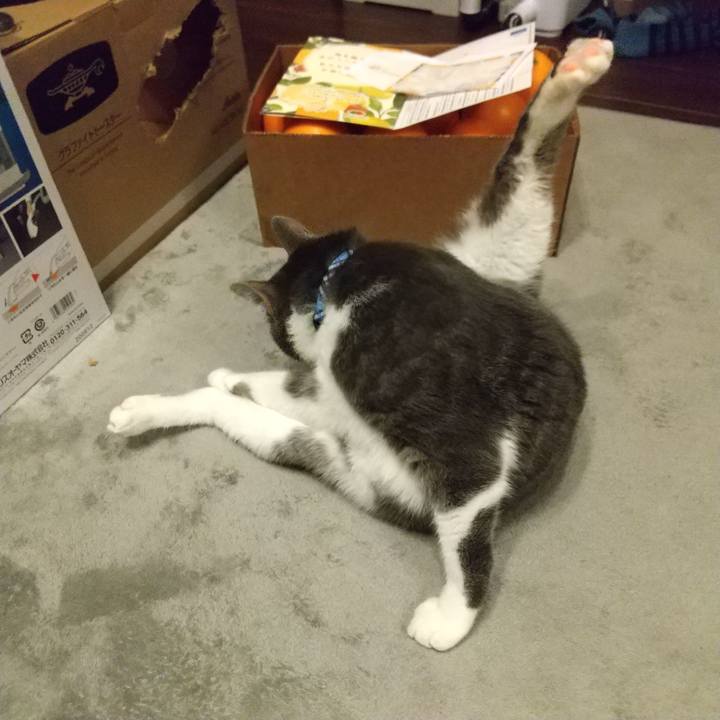 F39246be e00f 4715 96f8 d84252c9471a 1607900376422