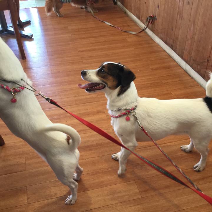 F3929458 808d 4673 8316 78c460f4c1ad 1511778986527