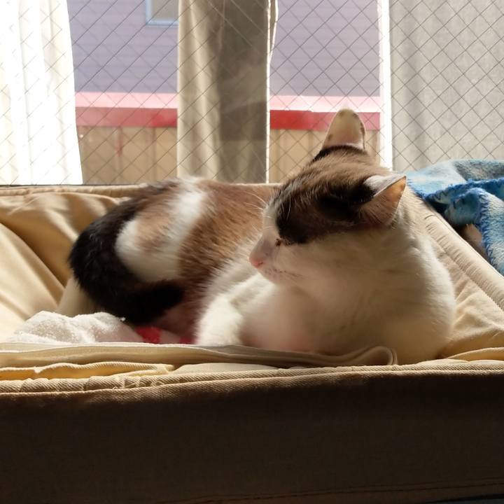 F392a1ce aa0c 4017 8bde 26d087722dd0 1575590229430