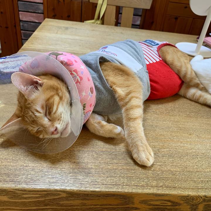 F392bd18 5255 4009 b8a9 0c4d3a697750 1627597296220