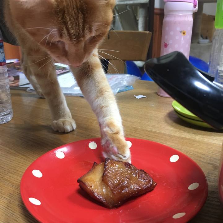 F392f849 4123 4085 9a38 2a937d5594b0 1537274110625