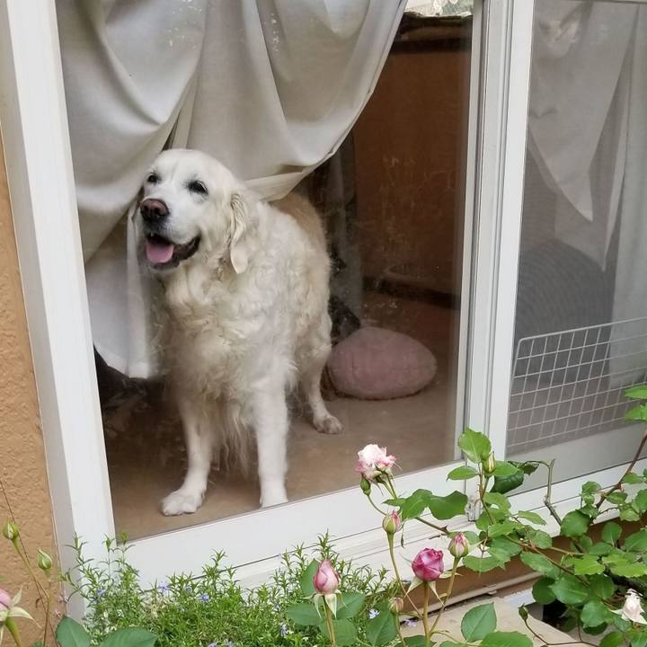 F392fa14 eca4 4a99 bd7c 8bb74194eb39 1758607863275