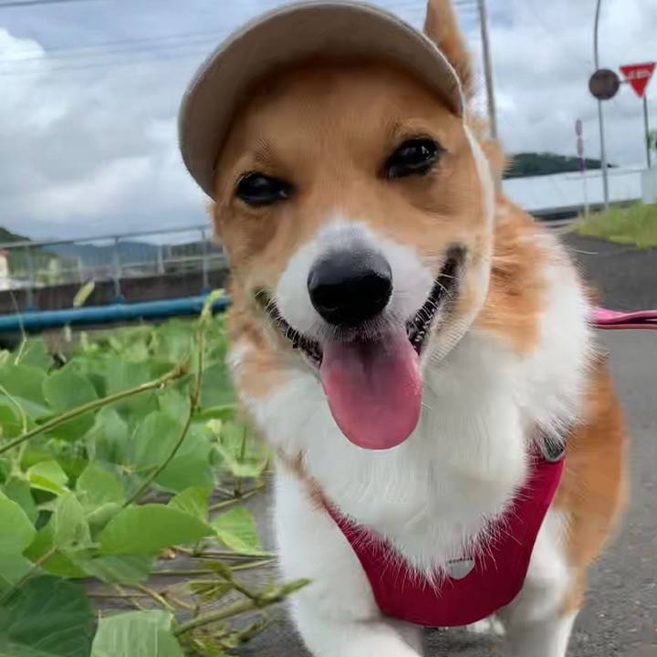 F392fcbd 815e 4868 a7bd e73bcad09a40 1660362906877