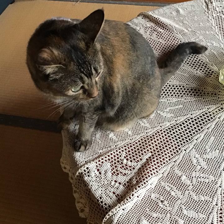 F39306d6 0760 4335 a1d2 ebe24a82406c 1754906752810