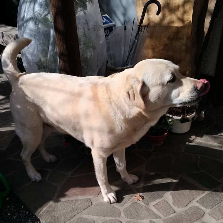 F3932420 3a53 419f bdab 5a43e9649b6e 1642738332553