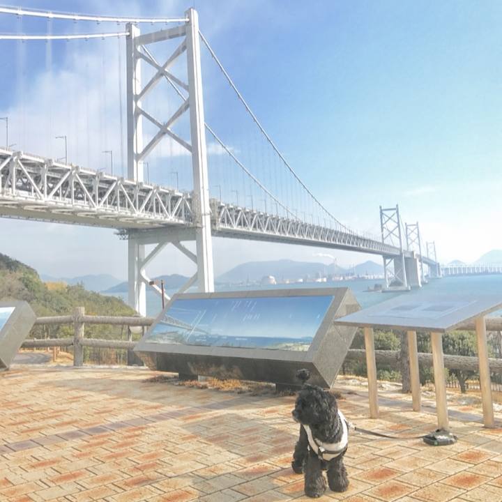 F3932cab fbc9 4ac2 a863 66da88c1605b 1550395913040