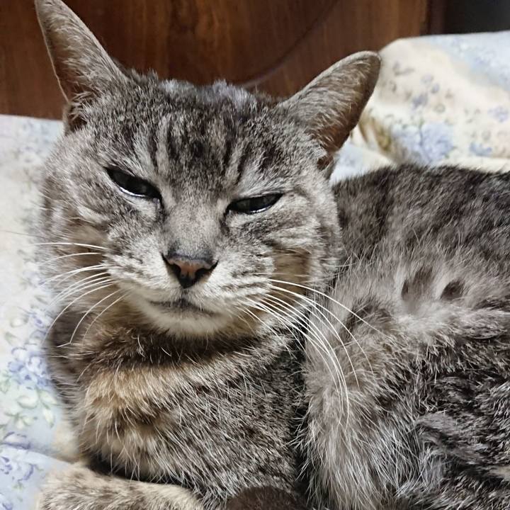 F393323a 6921 42b1 87c5 85905040da62 1583666402789