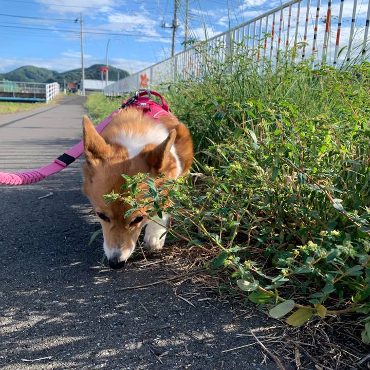 F393580f 4dc2 4579 b1fc 967c1f34391e 1693092504983