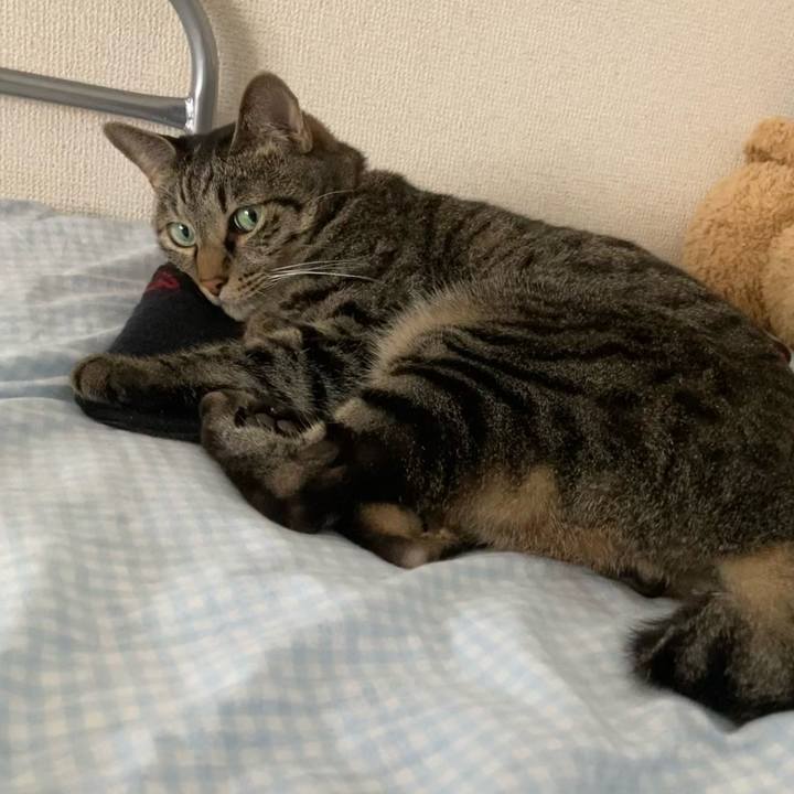 F3935de1 ae63 4afc 97e4 3ce860787bfb 1626923714556