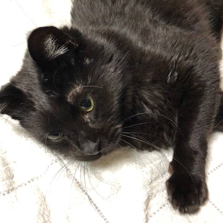 F3939b0f 0147 42ba 8255 083c44a6a776 1593435088478