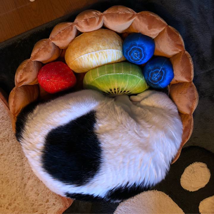 F393d630 d3ca 498e 8f3d 11ccd9bc1294 1537595774578