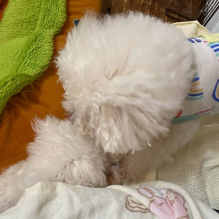 F393d80a a85c 4551 960f c2988c8e1328 1752041985341