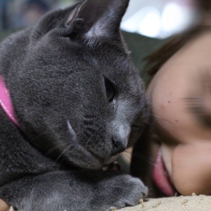 F393e5e6 d7a6 4c91 b3ac 4c7113ebcd52 1527688093232