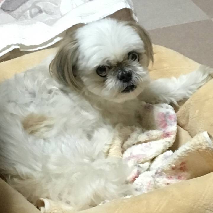 F393fae8 3d5b 40b9 b1e4 82e386246acc 1563019635962