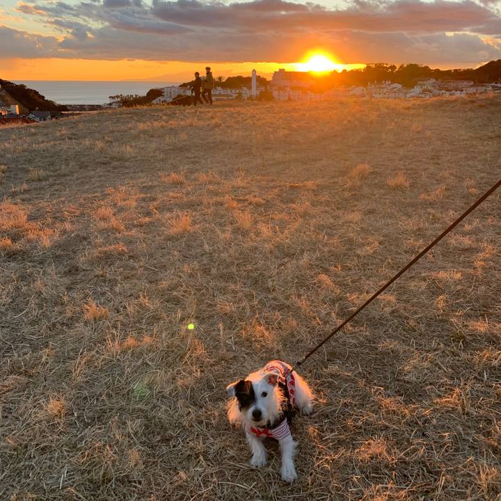 F3944769 8ed8 4cb9 8b25 635d183d3c23 1672826490887