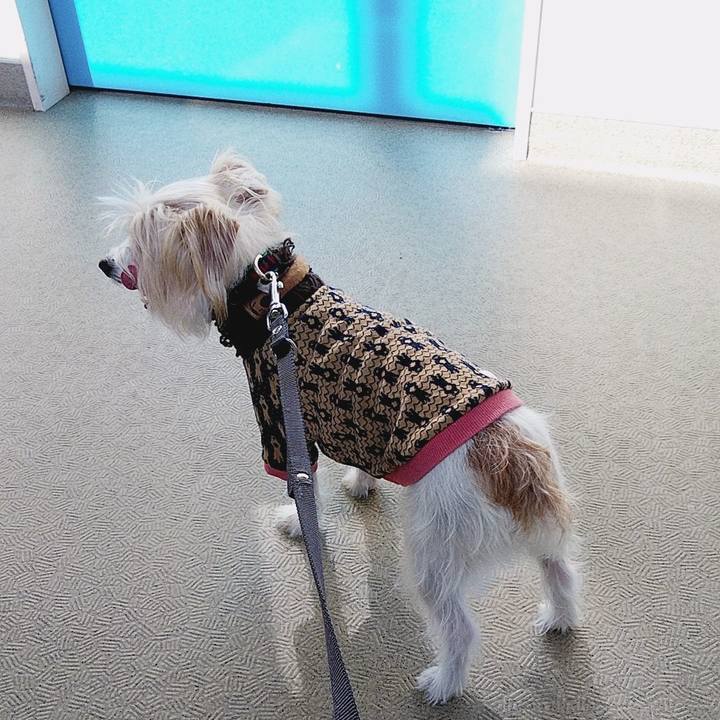 F3947314 d1bc 4f10 add3 2a71fa1b4b07 1582505605096