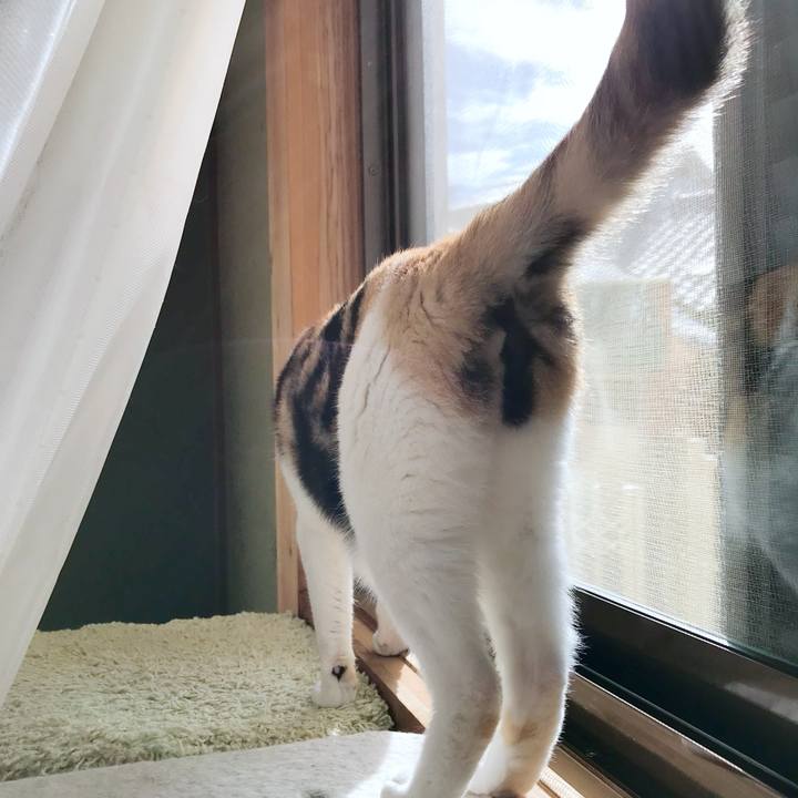 F3947914 a3db 499f a7ed 4b9ae2b9801b 1535330318159