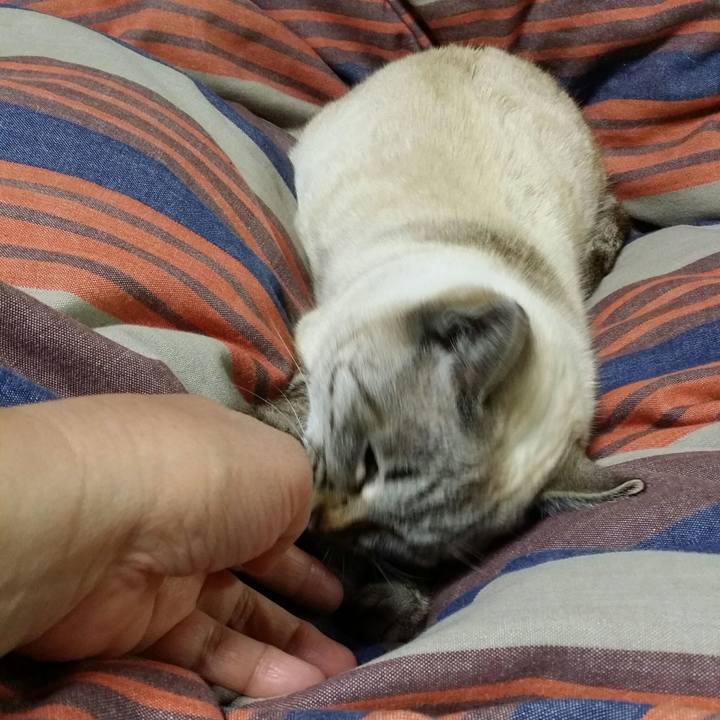 F394bb72 b8f4 43fe b2a7 f755346eb308 1520776488338