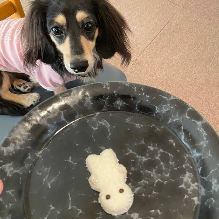 F394c0a3 4cef 4430 985d 4844d29d6b8b 1707476438762