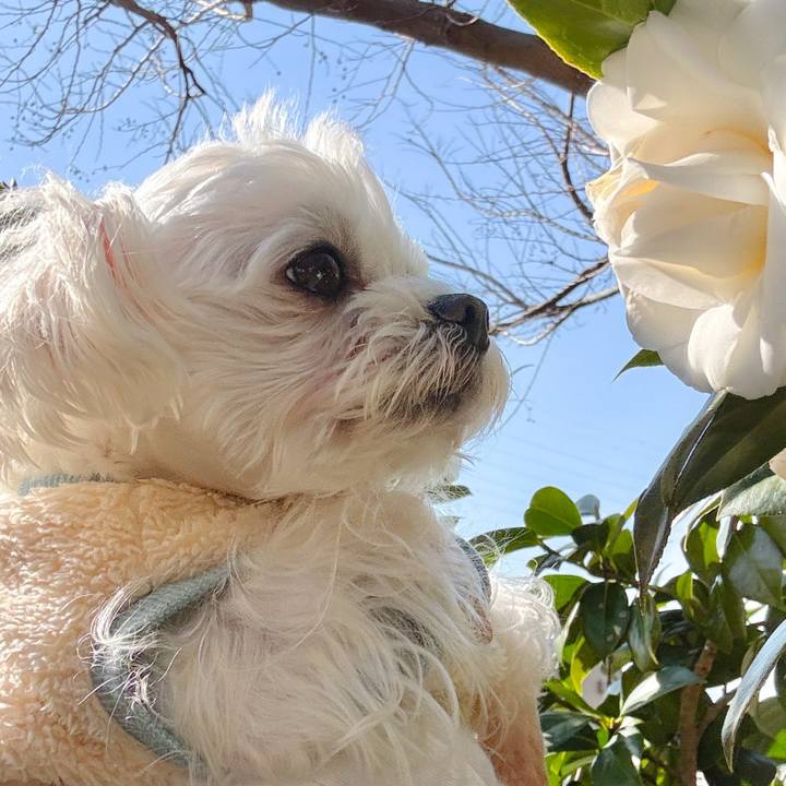 F39505ef 1df7 41db 833f f6c2f07ccc73 1741604218995