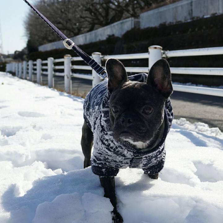 F3956ec8 834e 4a03 b180 4d27bed3f7db 1517024158259