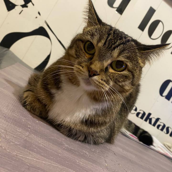 F39588ee f581 4810 bdea d392ab415e96 1665490370167