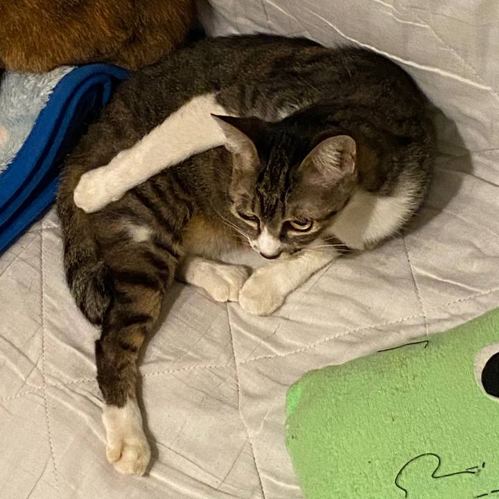 F39593cb 2449 466c aa80 47a8d6b9d467 1603720118179