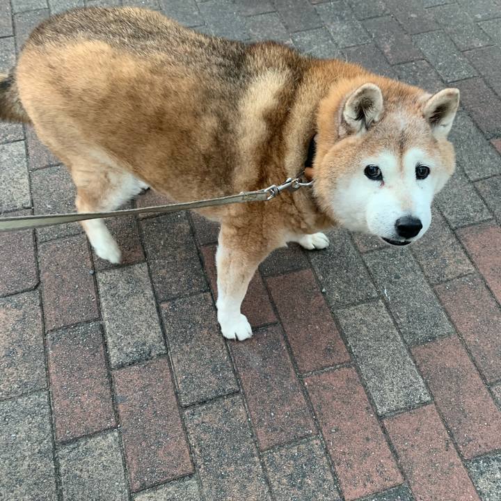 F395de88 9ba5 4ff8 8202 c96a4c51af36 1645834993498