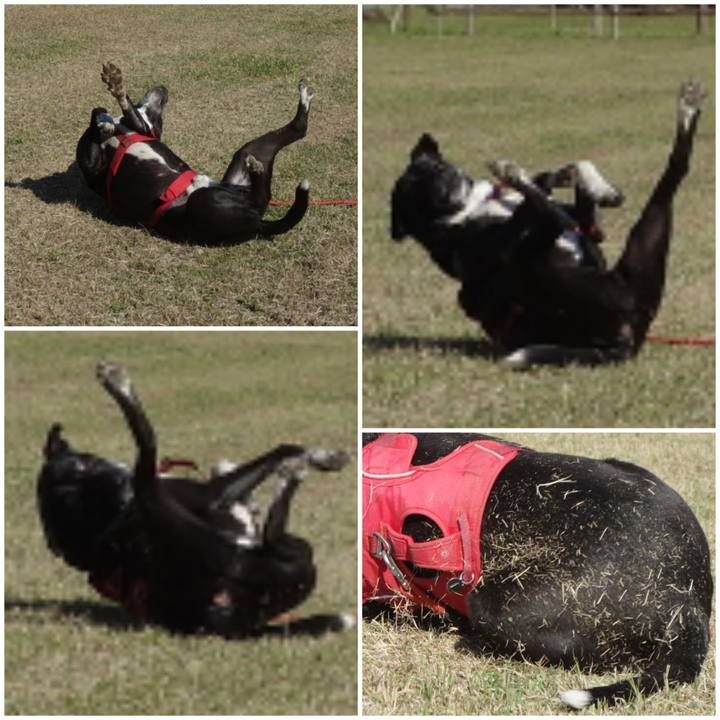 F396458b 7512 42d7 b9df 198cd3f92f9d 1681093234017