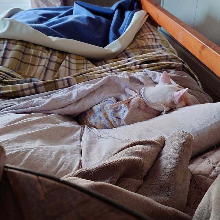 F3965353 39d2 4643 8dd1 bc86ddd329ef 1763968472274