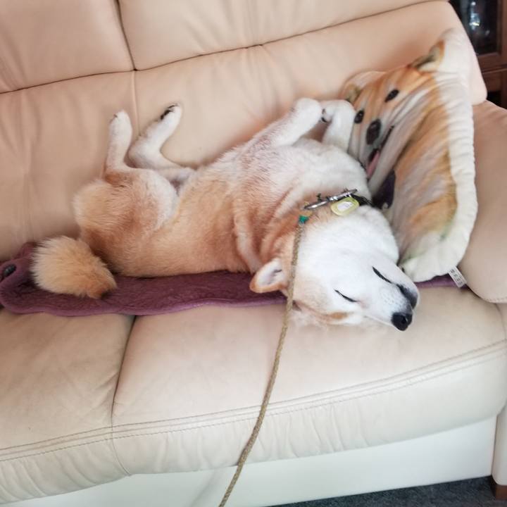 F39664fe fe8e 46c4 a147 532c4440a5a2 1658111174140