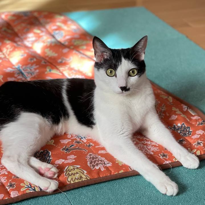 F3966d9f 32ee 406a 9bb2 5d6fc13b3d2f 1641299983382