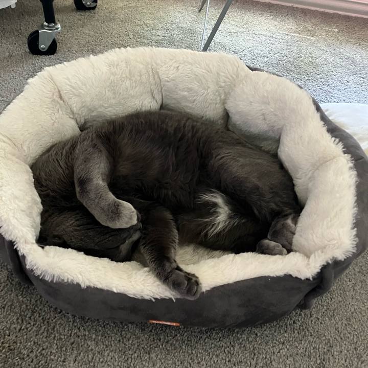 F396a9ce 2e32 474a b97c 3ae581873025 1683569047229